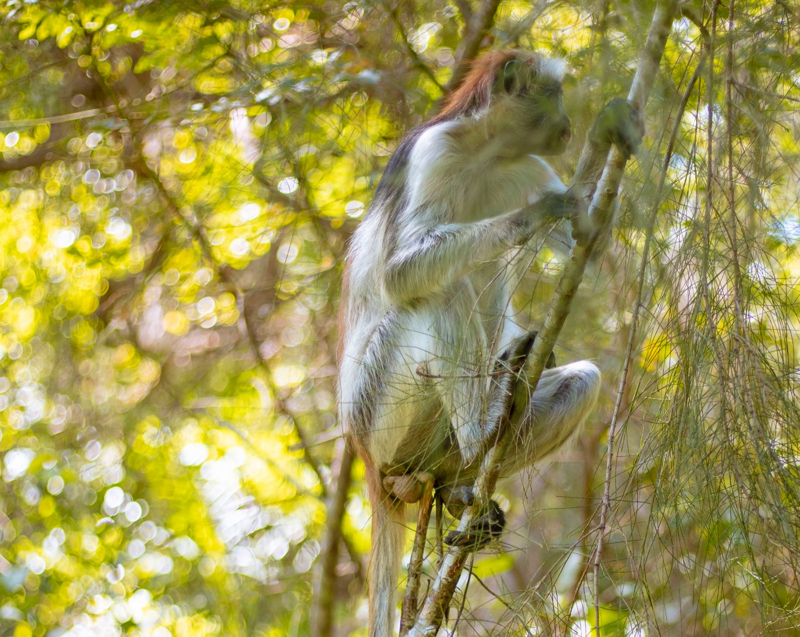 6 Days Zanzibar Adventure